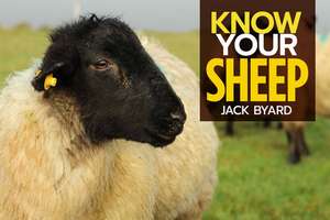 Know Your Sheep de Jack Byard