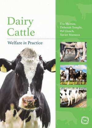 Dairy Cattle Welfare in Practice de Eva Mainau