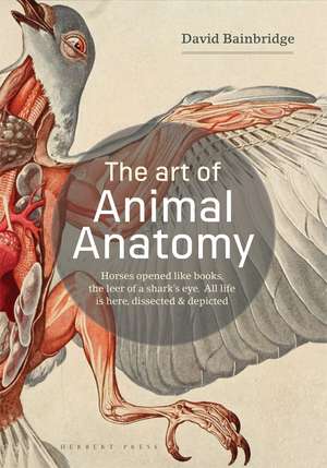 The Art of Animal Anatomy: All Life is Here, Dissected and Depicted de David Bainbridge