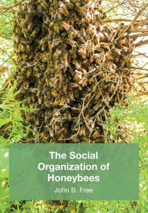 The Social Organisation of Honeybees de John B. Free