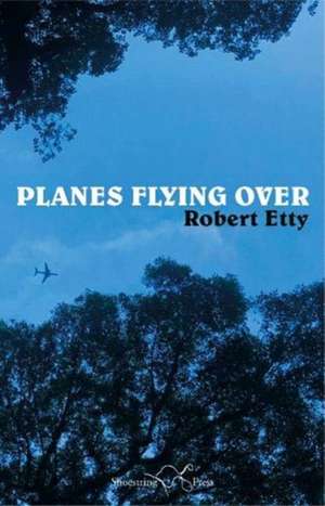 Planes Flying Over de Robert Etty