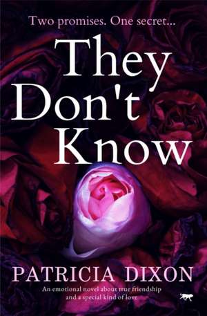 They Don't Know de Patricia Dixon