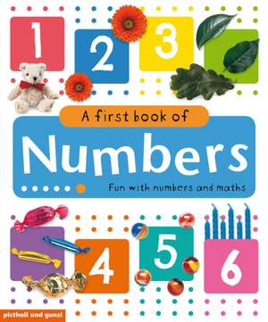 My First Big Book of Numbers