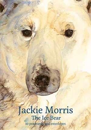 Jackie Morris Postcard Pack: The Ice Bear de Jackie Morris