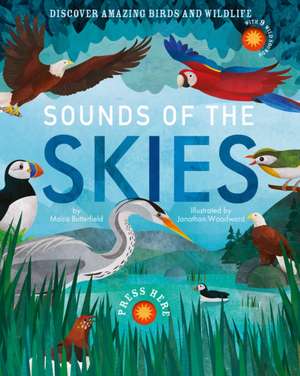 Sounds of the Skies de Moira Butterfield