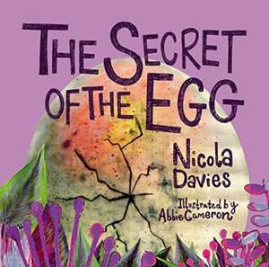 The Secret of the Egg de Nicola Davies