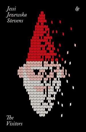 The Visitors de Jessi Jezewska Stevens
