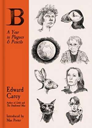 B: A Year in Plagues and Pencils de Edward Carey