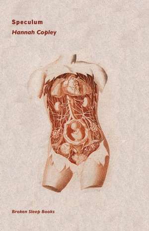 Speculum de Hannah Copley