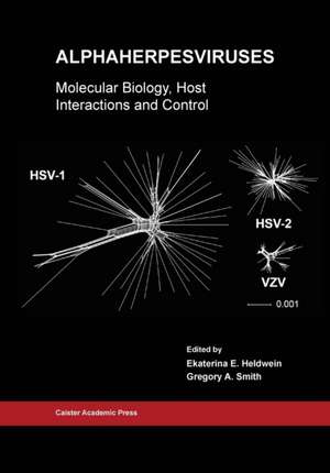 Alphaherpesviruses de Ekaterina E Heldwein