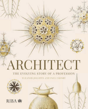 Architect: The evolving story of a profession de Eleanor Jolliffe