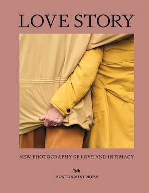 Love Story de Rachel Segal Hamilton