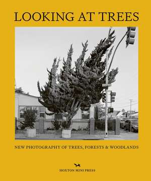 Looking At Trees: New Photography of Trees, Forests & Woodlands de Sophie Howarth