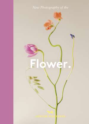 Flower.: New Photography of the de Hoxton Mini Press
