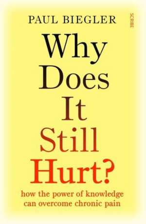 Why Does It Still Hurt? de Paul Biegler