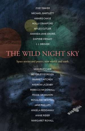 The Wild Night Sky de Harriet Hitchen