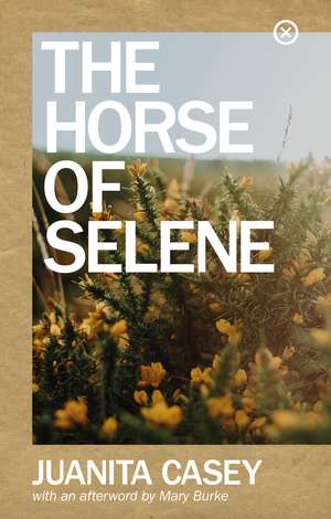 The Horse of Selene de Juanita Casey