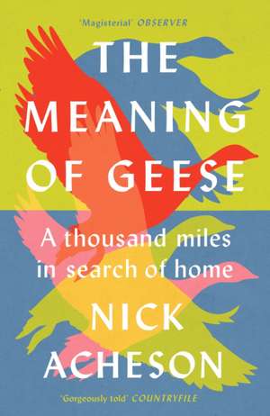 The Meaning of Geese de Nick Acheson