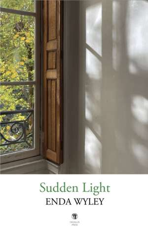 Sudden Light de Enda Wyley