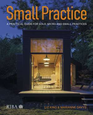 Small Practice: A practical guide for solo, micro and small practices de Liz King