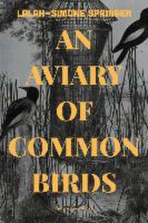 An Aviary of Common Birds de Lalah-Simone Springer