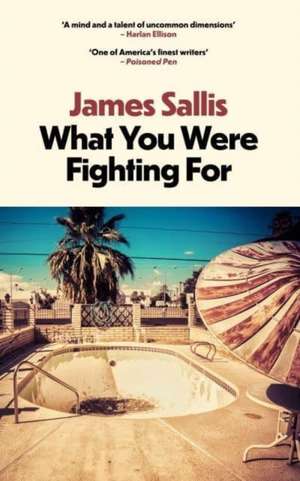 What You Were Fighting For de James Sallis