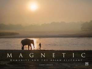 Magnetic de Larry Laverty