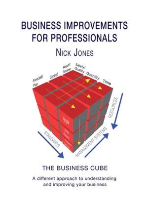 Business Improvements for Professionals de Nick Jones