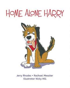 Home Alone Harry de Rachael Messiter