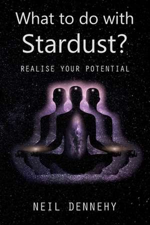 What to do with Stardust? de Neil Dennehy