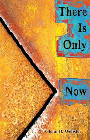 There Is Only Now de Glenn D Webster