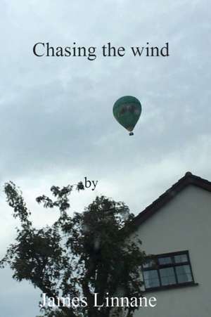 Chasing the Wind de James Linnane