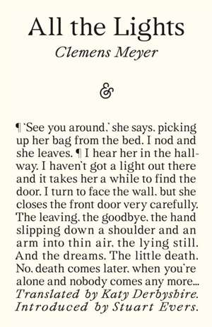 All the Lights de Clemens Meyer