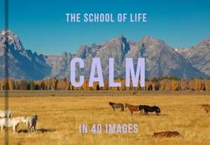 Calm in 40 Images de The School of Life