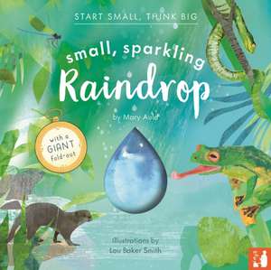 Small, Sparkling Raindrop de Mary Auld