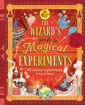Wizard''s Guide to Magical Experiments de Amanda Wood