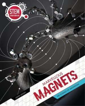 Marvellous Magnets de John Lesley