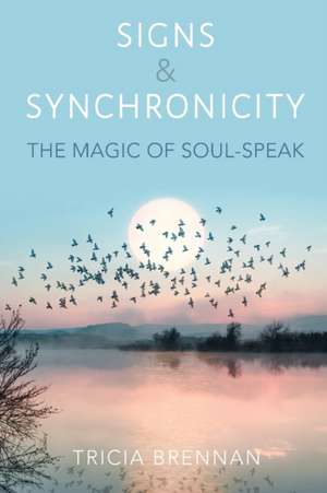 Signs & Synchronicity de Tricia Brennan