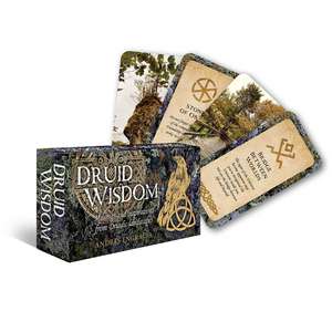 Druid Wisdom de Andres Engracia