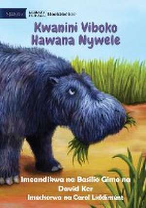 Why Hippos Have No Hair - Kwanini Viboko Hawana Nywele de Basilio Gimo