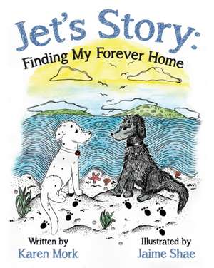 Jet's Story de Karen Mork