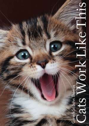 Cats Work Like This de David St John Thomas