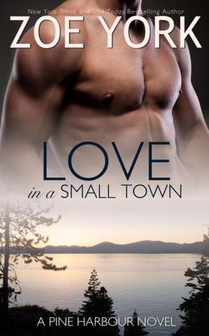 Love in a Small Town de Zoe York