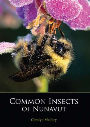 Common Insects of Nunavut de Carolyn Mallory