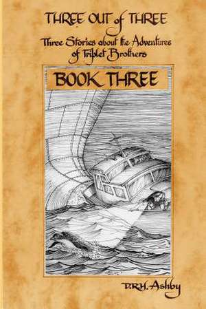 Three Out of Three - Book Three de Ashby, D. R. H.