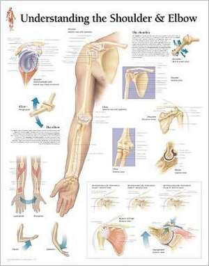 Understanding the Shoulder & Elbow Chart: Wall Chart de Scientific Publishing