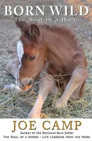 Born Wild - The Soul of a Horse de Joe Camp