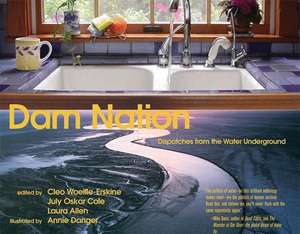 Dam Nation: Dispatches from the Water Underground de Cleo Woelfe-Erskine