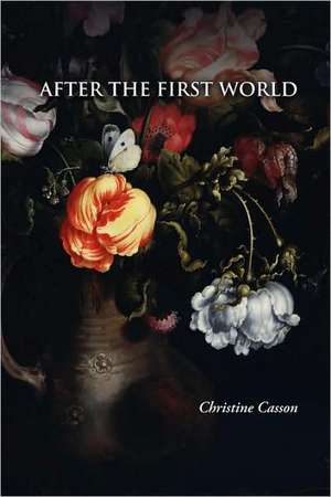 After the First World de Christine Casson