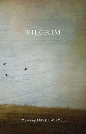 Pilgrim (Revised) (Revised) de David Whyte